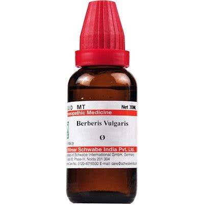 burberry homeopathic medicine|berberis vulgaris homeopathy kidney stones.